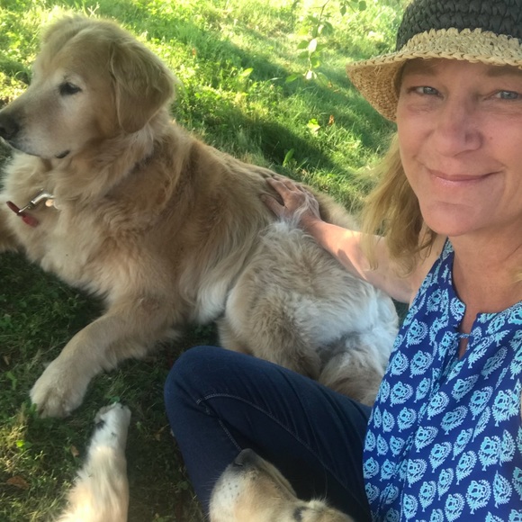 Meet your Posher, Robin - Picture 1 of 1